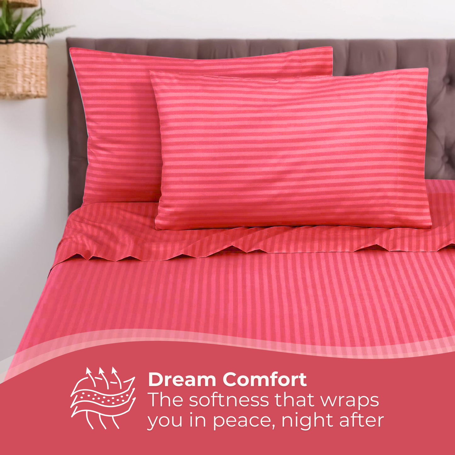 Single Comfort - 275cmx150cm