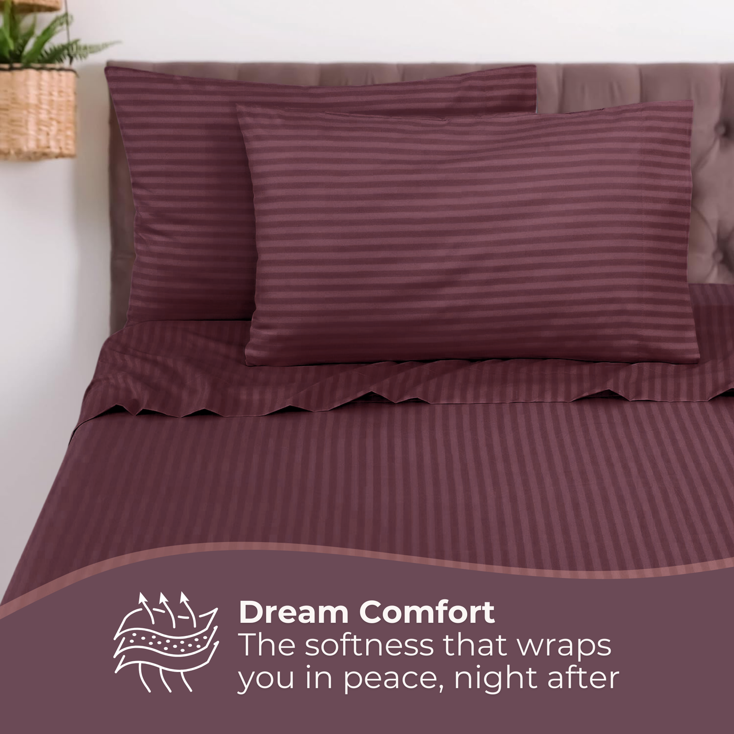 Single Comfort - 275cmx150cm