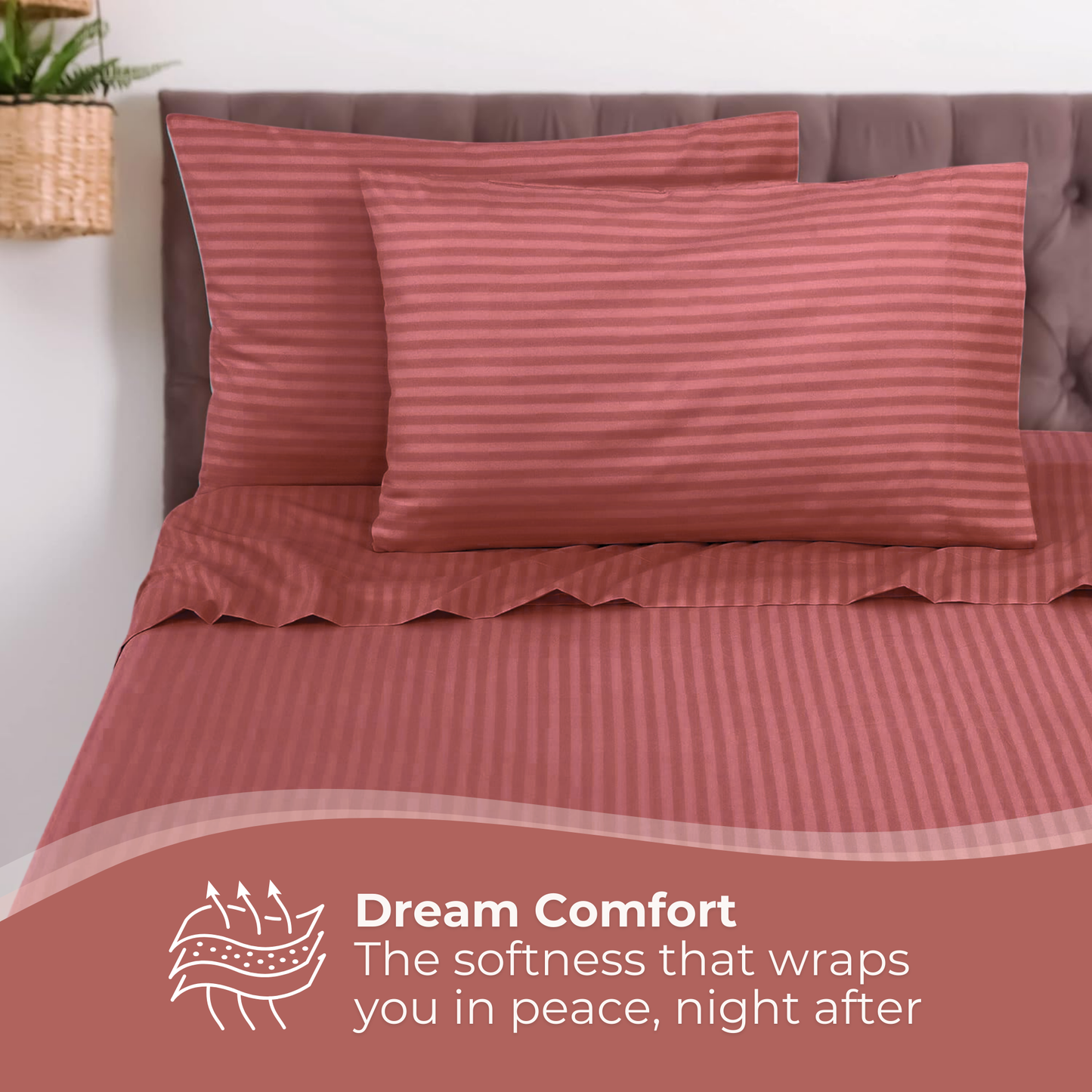 Single Comfort - 275cmx150cm