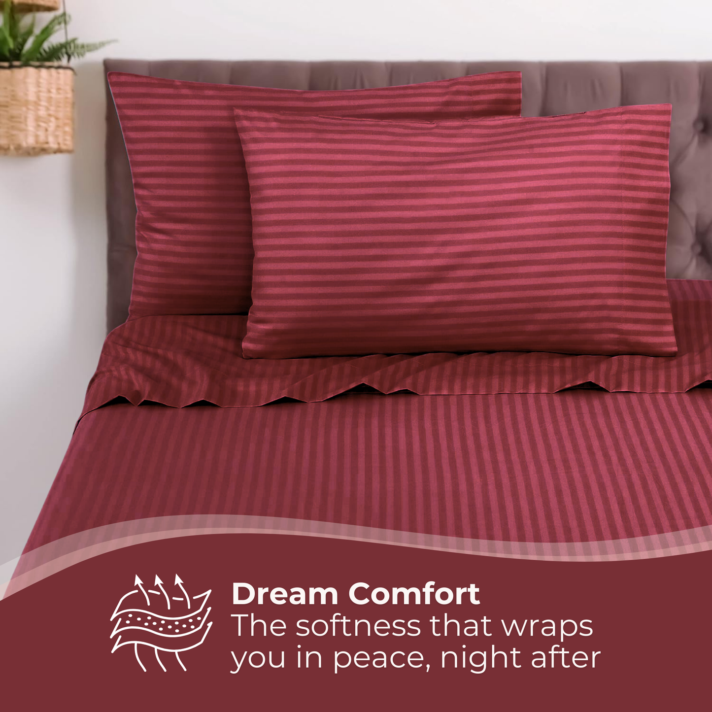 Single Comfort - 275cmx150cm
