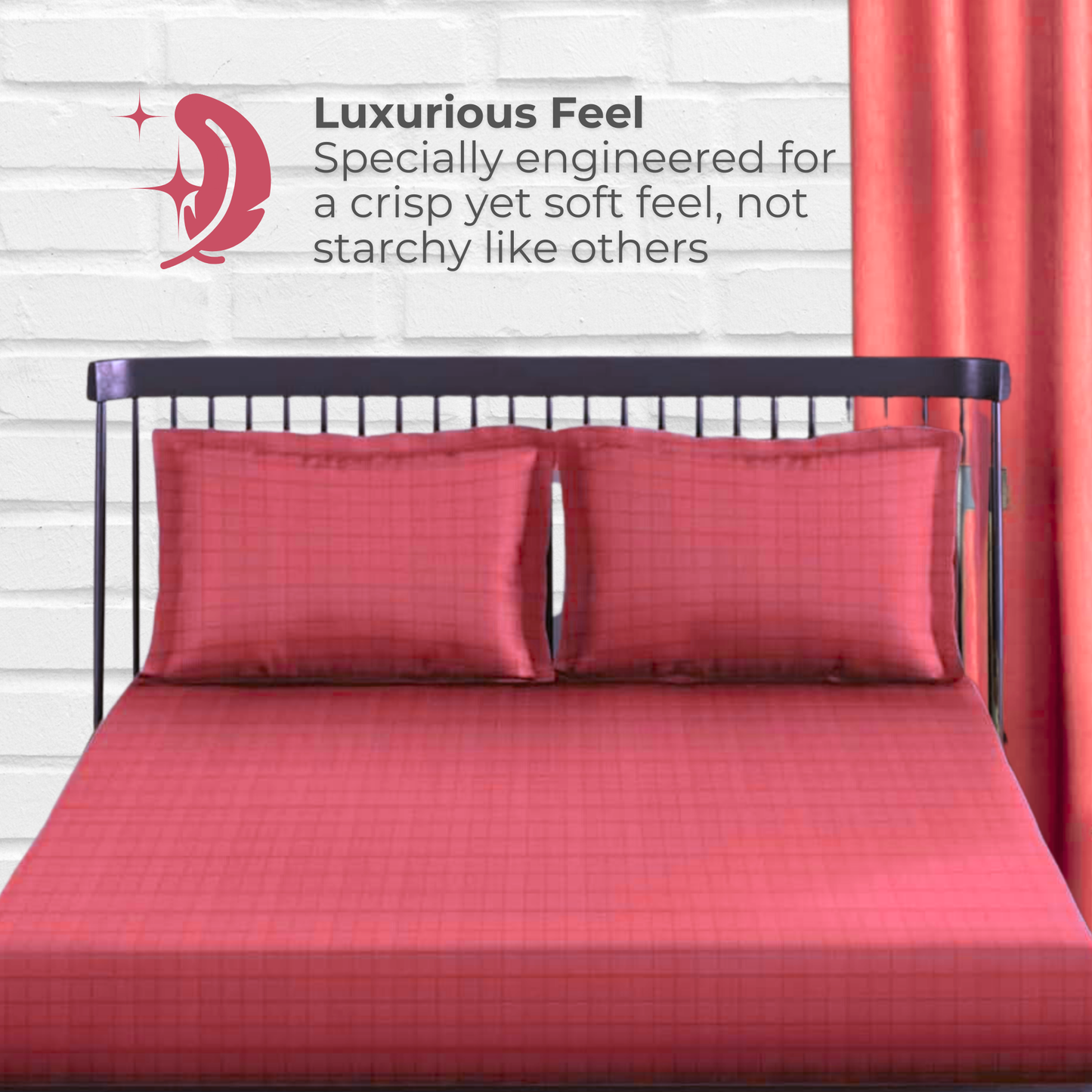 King Luxe - 300cmx275cm