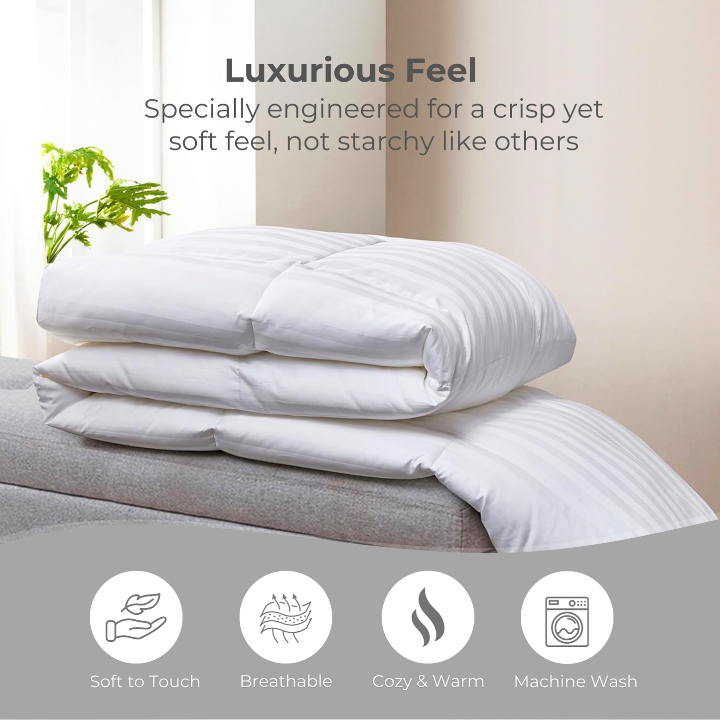 Single Comfort - 275cmx150cm
